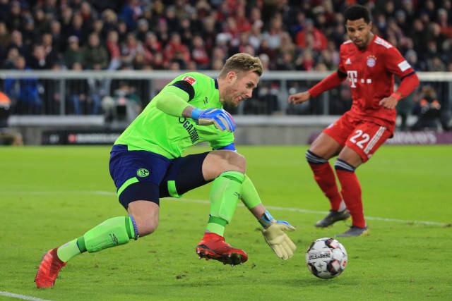 也是一条具 也是一条具